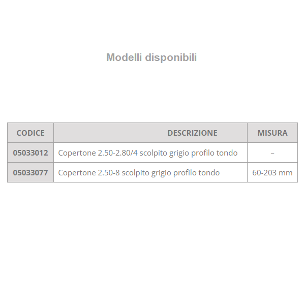 Copertoni per carrozzina disabili B1j